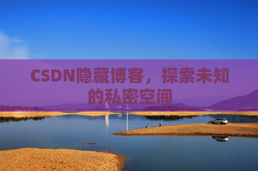 CSDN隐藏博客，探索未知的私密空间